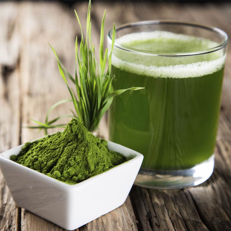 Wheatgrass Ingredient in Bio-Wheatgrass