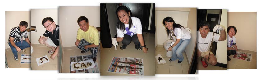 So Easy Slim Care Testimonials - Mucoid Plaque